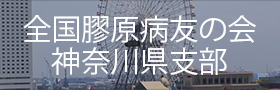 全国膠原病友の会神奈川県支部
